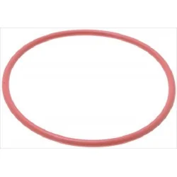 Delonghi O-ring 04312,...